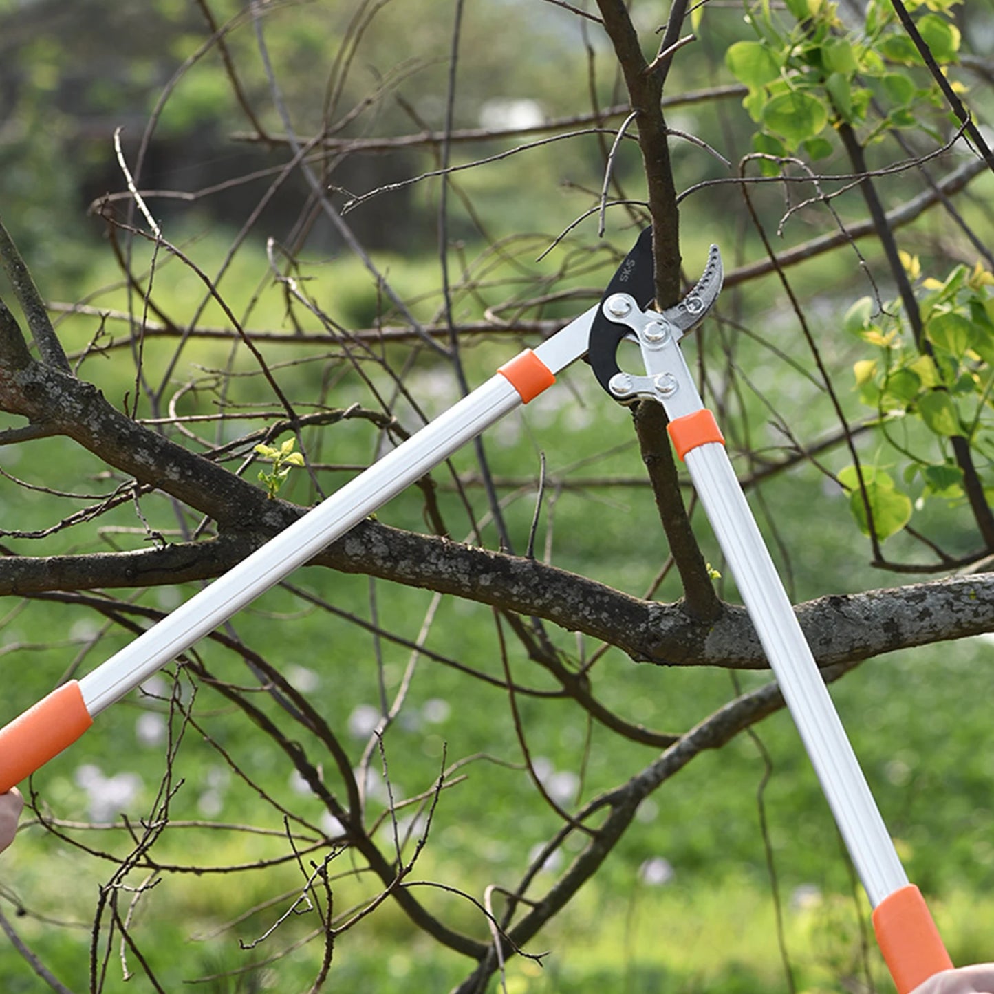 Long Length Scissor Hedge Shear