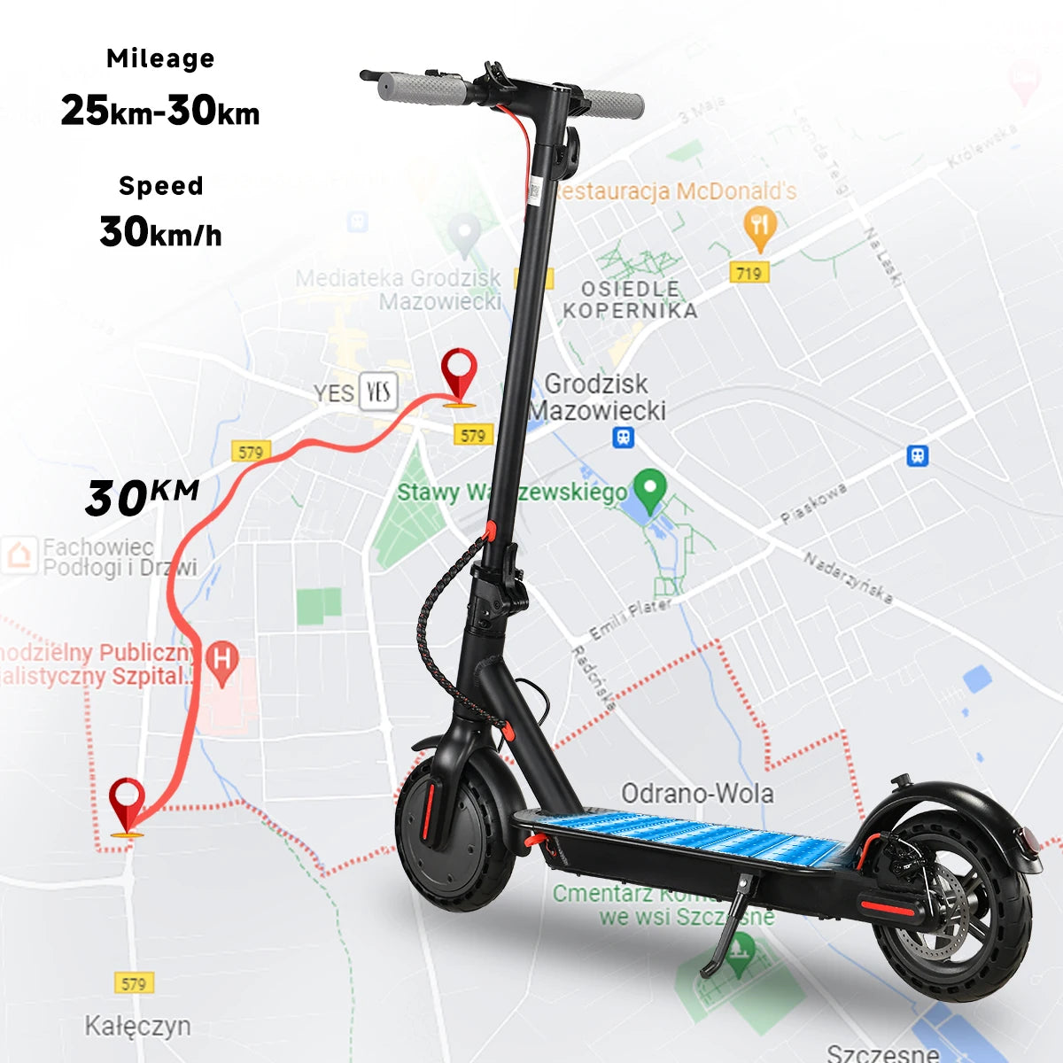 Adult Electric Scooter