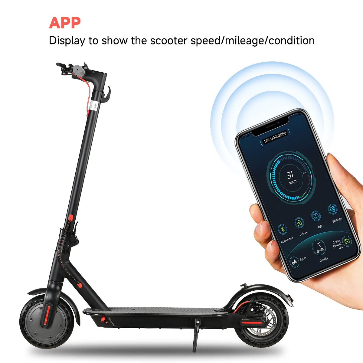 Adult Electric Scooter