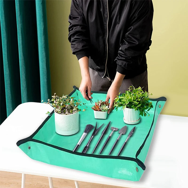 Garden Transplanting Kit