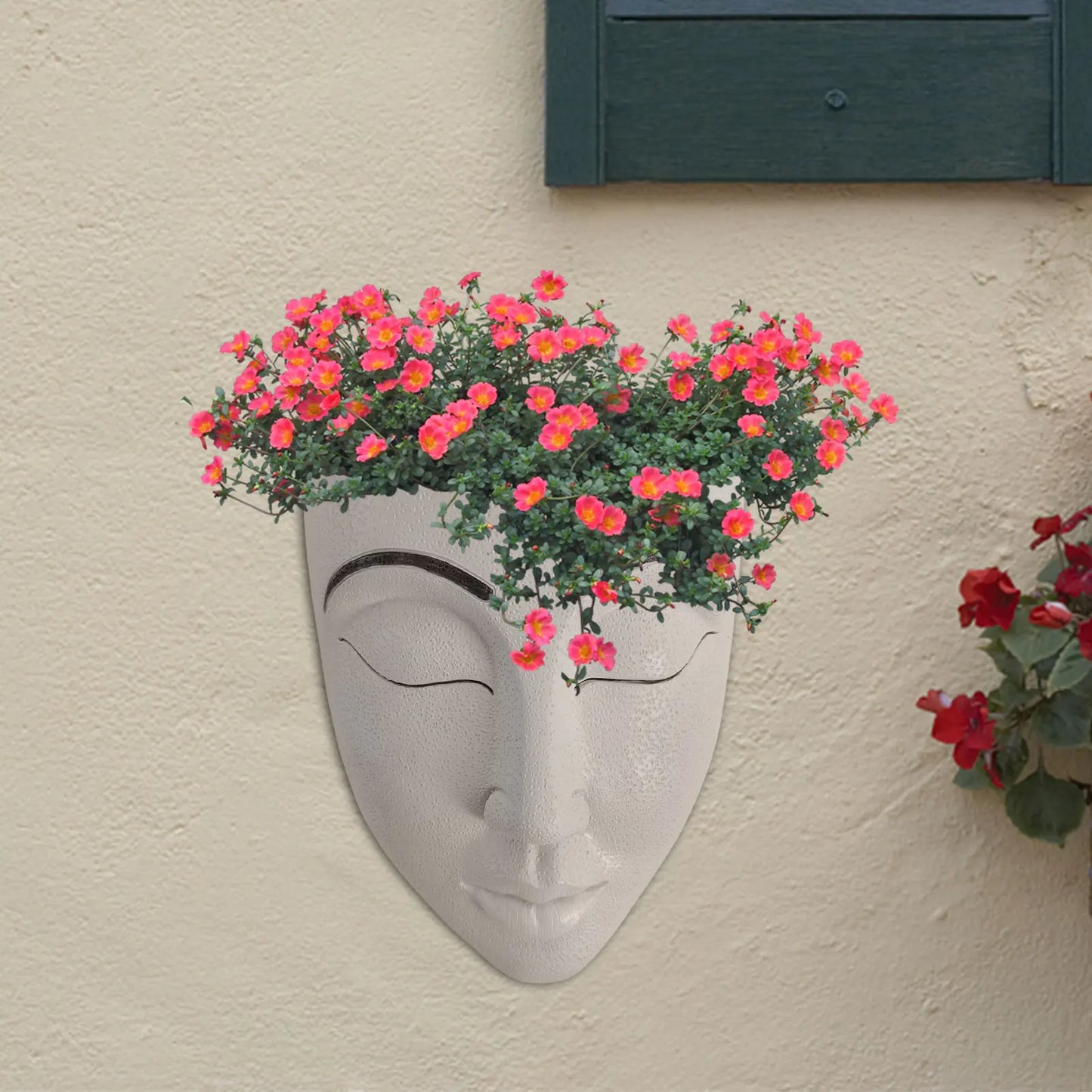 Face Mounted Pot