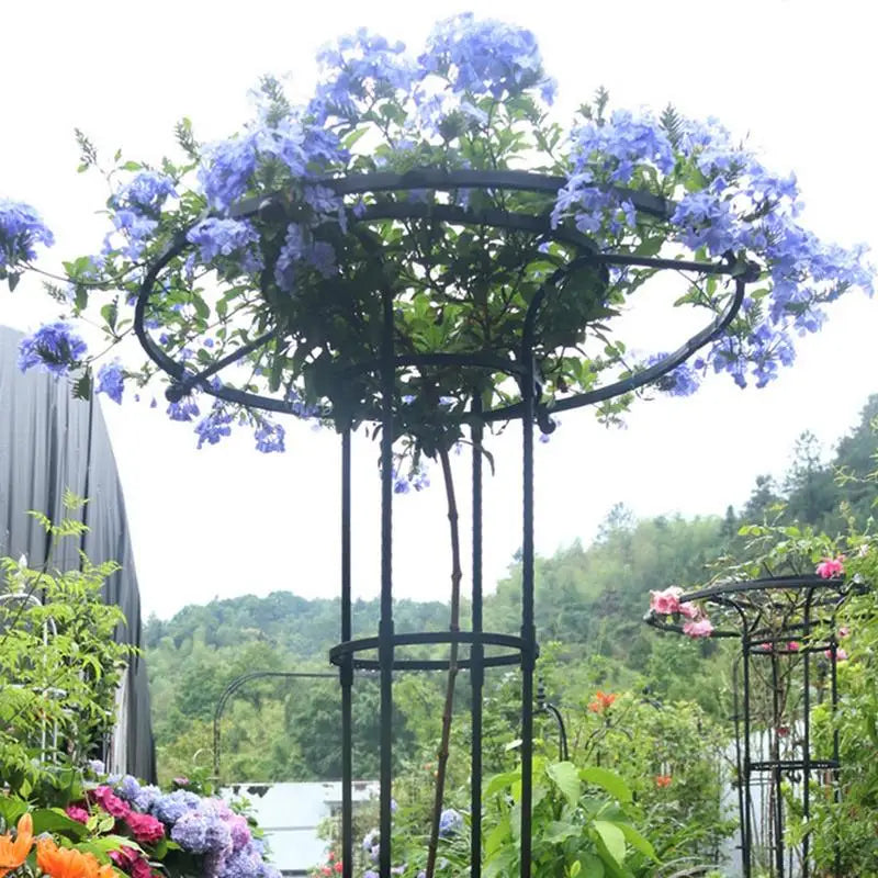 Indoor/Outdoor Trellis