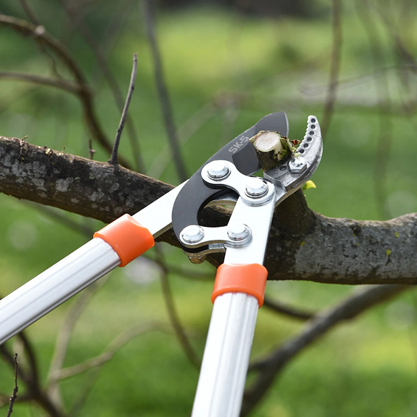 Long Length Scissor Hedge Shear