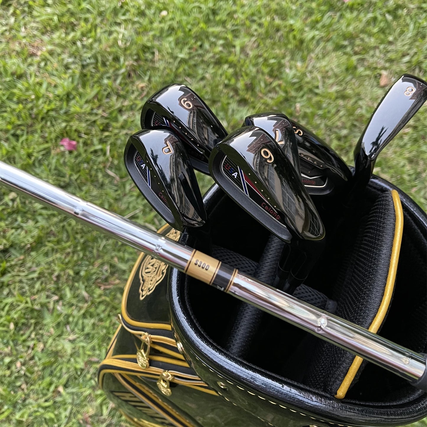 Golf Iron Set